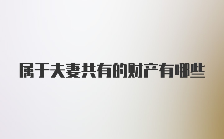 属于夫妻共有的财产有哪些