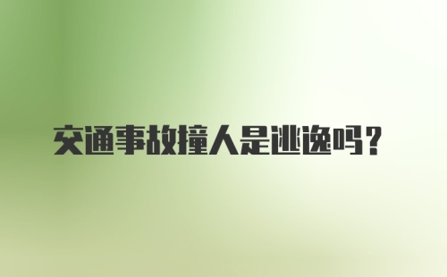 交通事故撞人是逃逸吗？