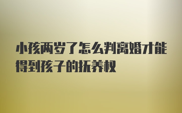 小孩两岁了怎么判离婚才能得到孩子的抚养权