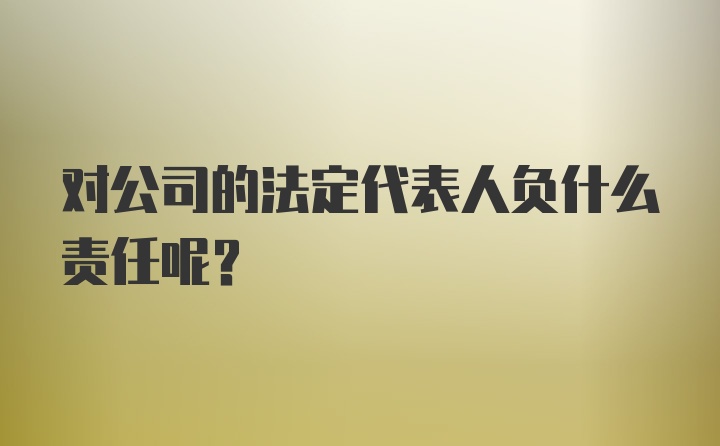 对公司的法定代表人负什么责任呢？