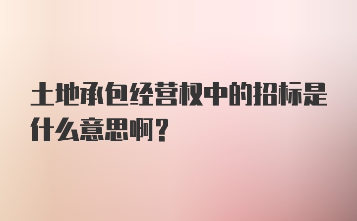 土地承包经营权中的招标是什么意思啊？