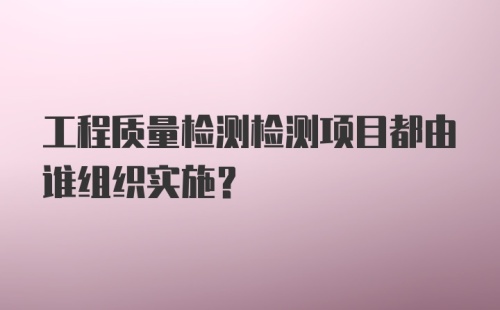 工程质量检测检测项目都由谁组织实施？