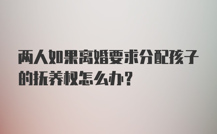 两人如果离婚要求分配孩子的抚养权怎么办？