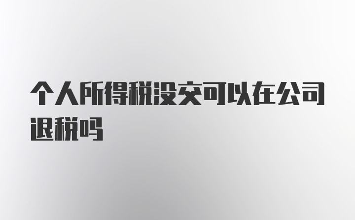 个人所得税没交可以在公司退税吗