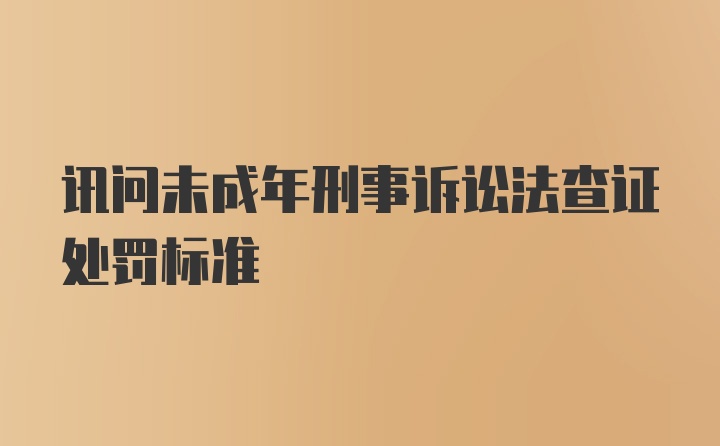 讯问未成年刑事诉讼法查证处罚标准