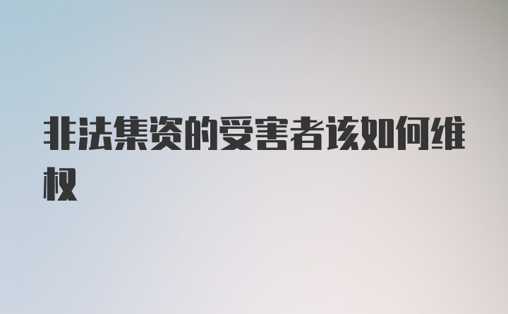 非法集资的受害者该如何维权