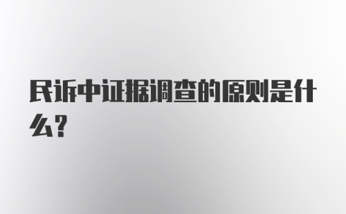 民诉中证据调查的原则是什么？