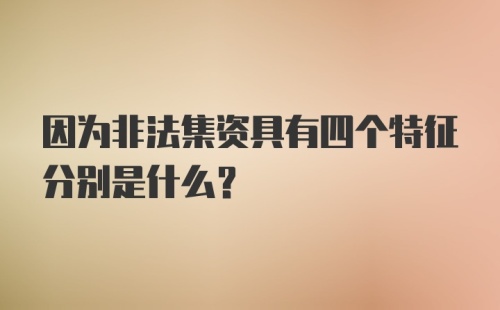 因为非法集资具有四个特征分别是什么？