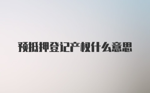 预抵押登记产权什么意思