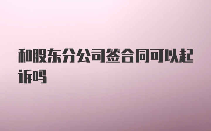 和股东分公司签合同可以起诉吗