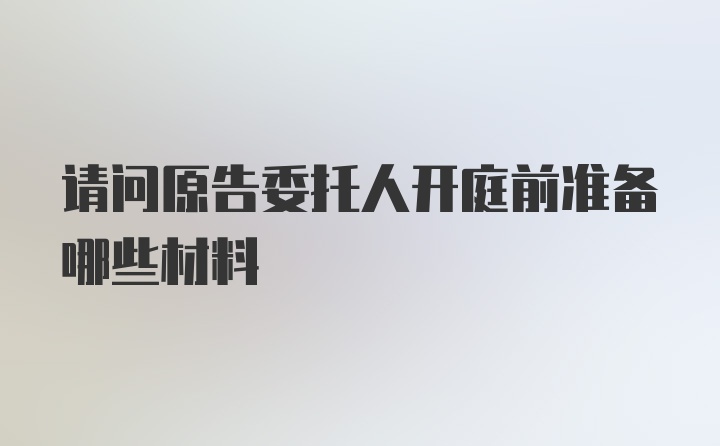 请问原告委托人开庭前准备哪些材料