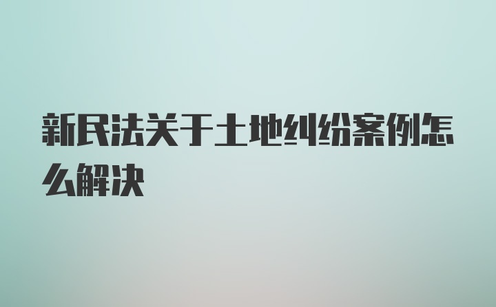 新民法关于土地纠纷案例怎么解决