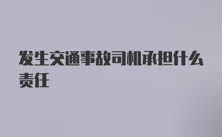 发生交通事故司机承担什么责任