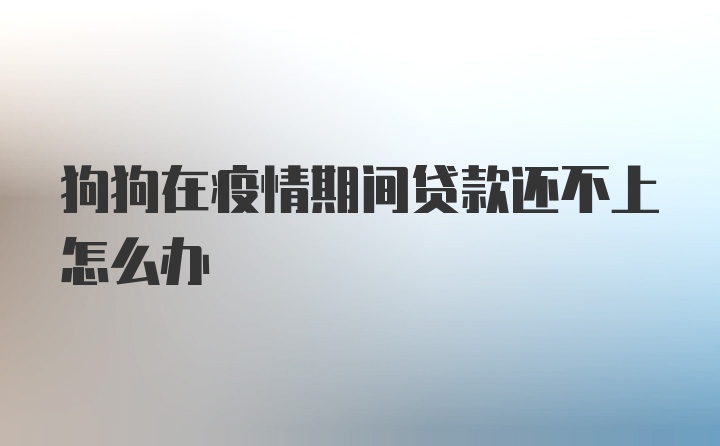 狗狗在疫情期间贷款还不上怎么办