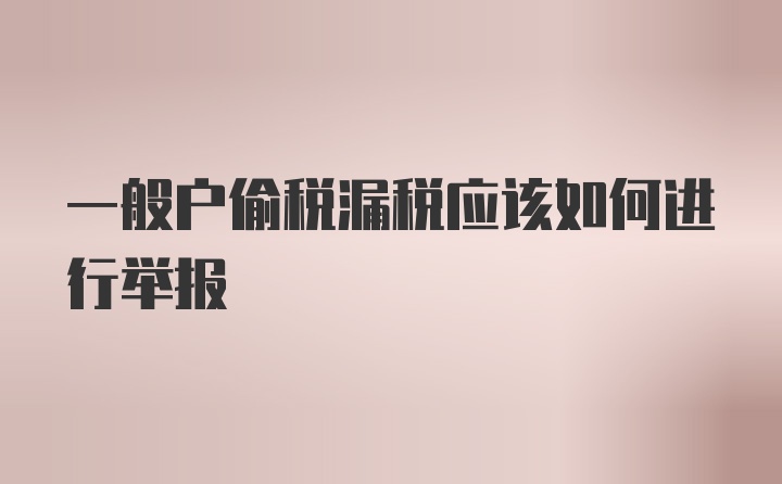 一般户偷税漏税应该如何进行举报