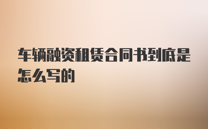 车辆融资租赁合同书到底是怎么写的