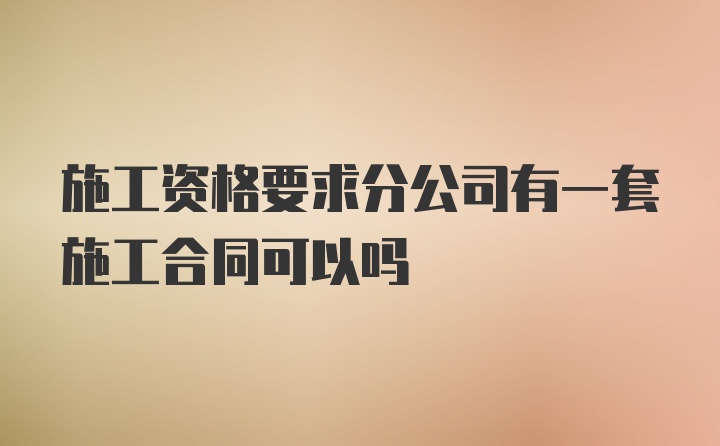 施工资格要求分公司有一套施工合同可以吗