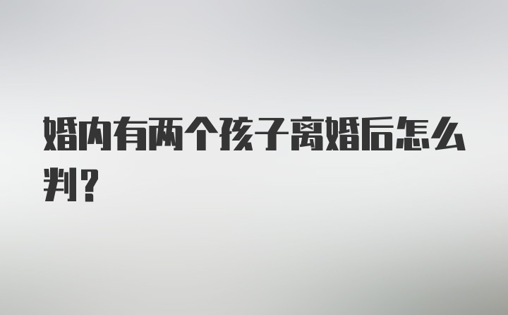 婚内有两个孩子离婚后怎么判？