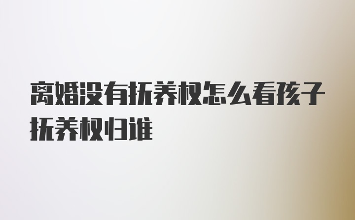 离婚没有抚养权怎么看孩子抚养权归谁