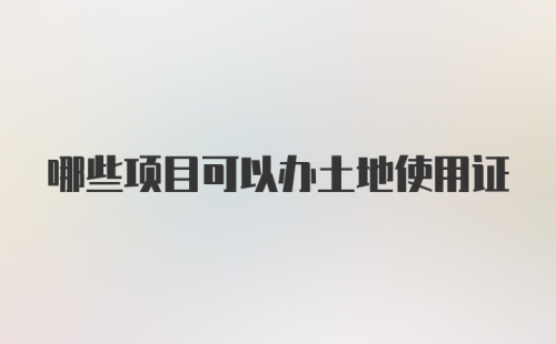 哪些项目可以办土地使用证