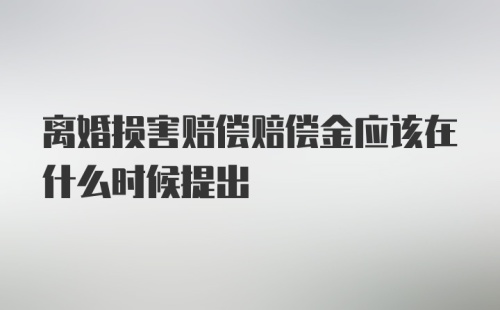 离婚损害赔偿赔偿金应该在什么时候提出