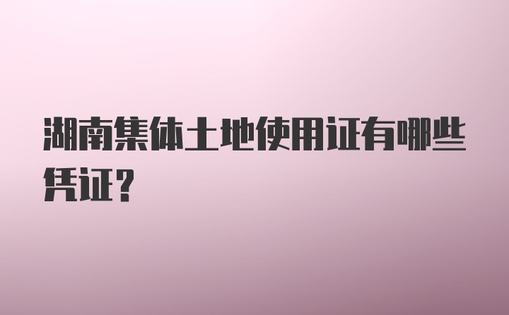 湖南集体土地使用证有哪些凭证？