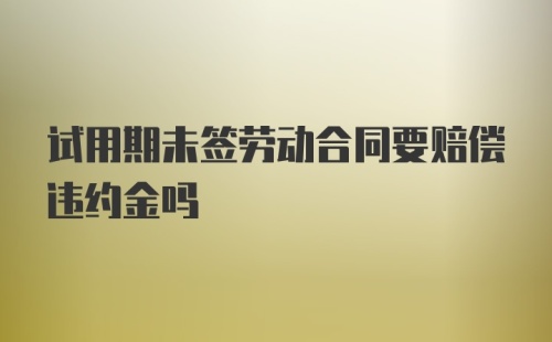 试用期未签劳动合同要赔偿违约金吗