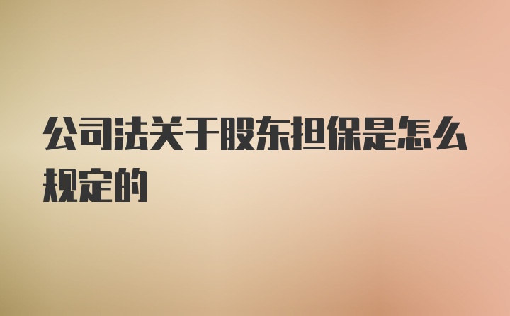 公司法关于股东担保是怎么规定的