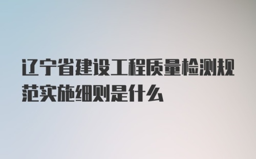 辽宁省建设工程质量检测规范实施细则是什么