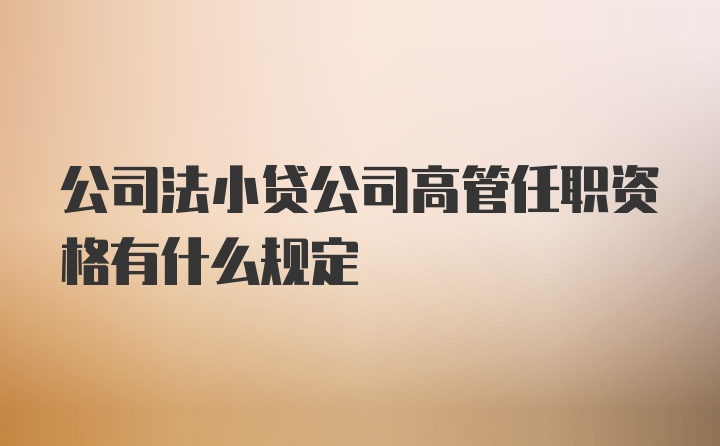 公司法小贷公司高管任职资格有什么规定