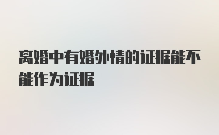 离婚中有婚外情的证据能不能作为证据