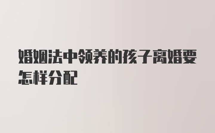 婚姻法中领养的孩子离婚要怎样分配