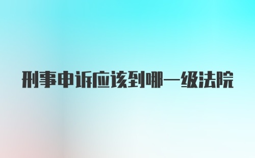 刑事申诉应该到哪一级法院