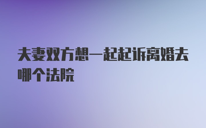 夫妻双方想一起起诉离婚去哪个法院