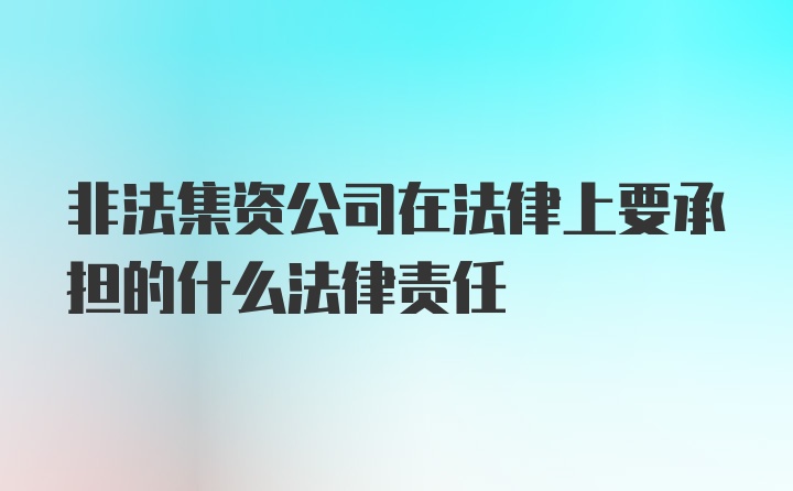 非法集资公司在法律上要承担的什么法律责任