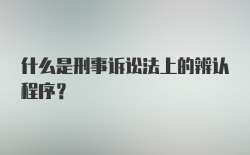 什么是刑事诉讼法上的辨认程序？