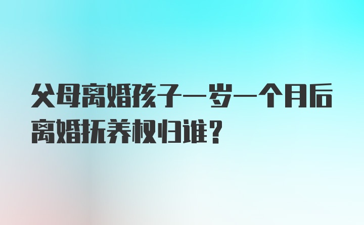 父母离婚孩子一岁一个月后离婚抚养权归谁？