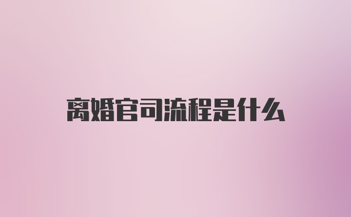 离婚官司流程是什么