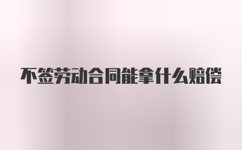 不签劳动合同能拿什么赔偿