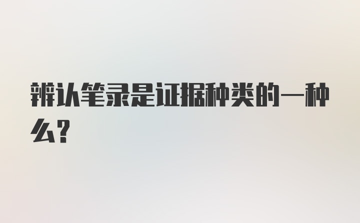 辨认笔录是证据种类的一种么？