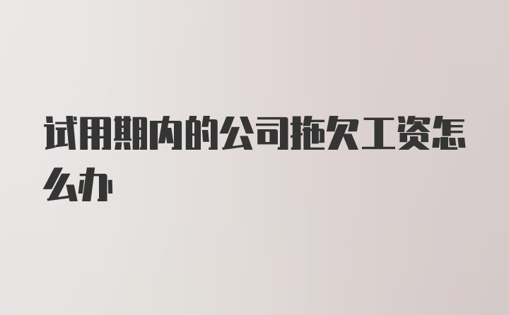 试用期内的公司拖欠工资怎么办