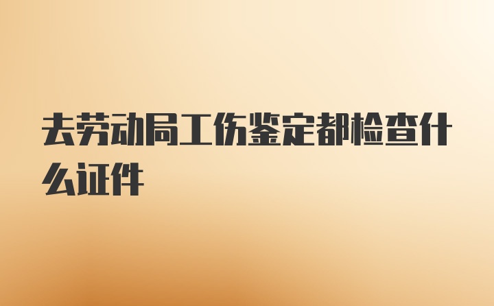 去劳动局工伤鉴定都检查什么证件