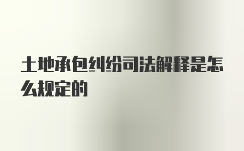 土地承包纠纷司法解释是怎么规定的