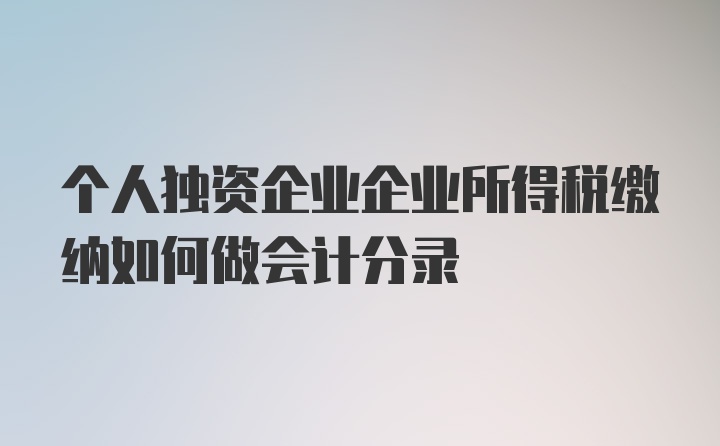 个人独资企业企业所得税缴纳如何做会计分录