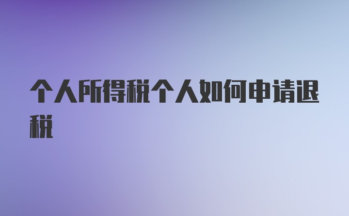 个人所得税个人如何申请退税