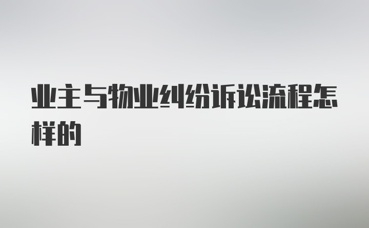 业主与物业纠纷诉讼流程怎样的