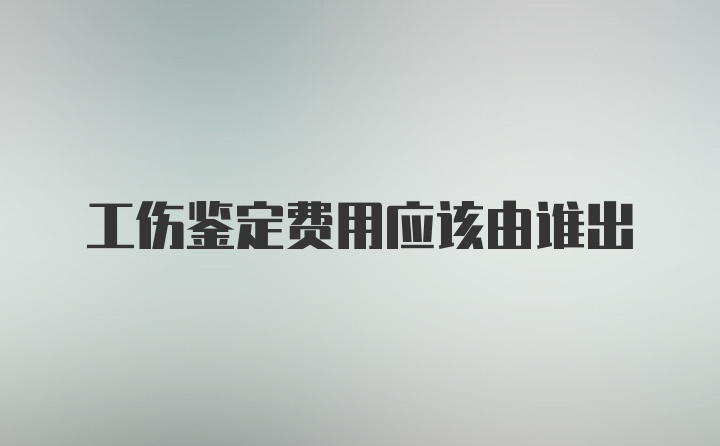 工伤鉴定费用应该由谁出