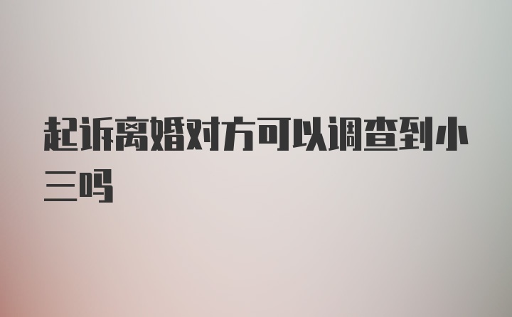 起诉离婚对方可以调查到小三吗