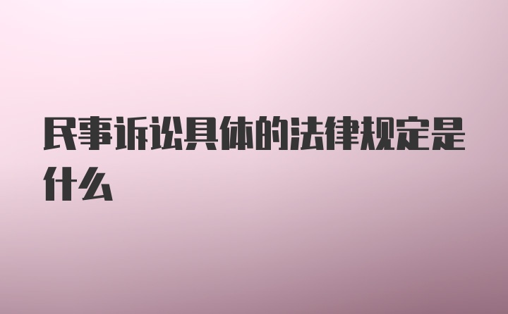 民事诉讼具体的法律规定是什么