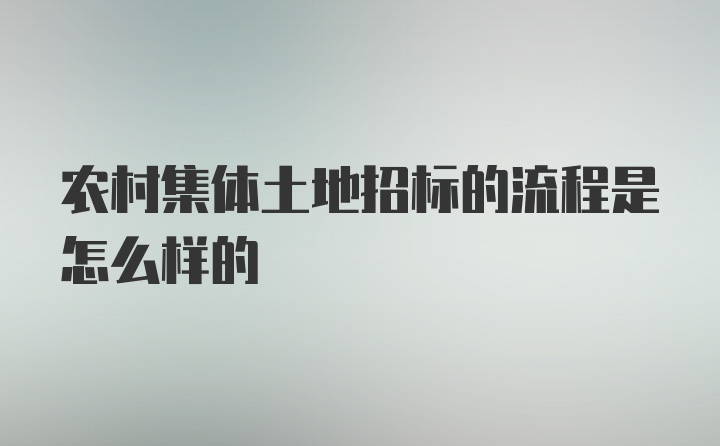 农村集体土地招标的流程是怎么样的